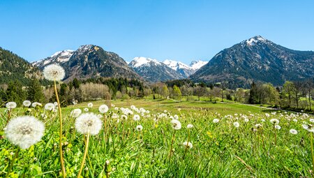 Alpenüberquerung Via Claudia - Füssen nach Meran individuell