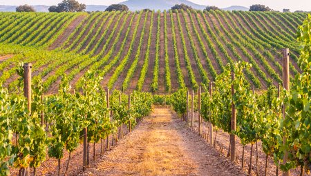 Radtour durch Alentejo-Weinberge und Alqueva-See