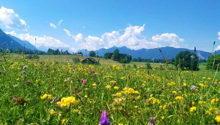Chiemsee - Königssee: 7 Tage Gemütlichkeit in Oberbayern