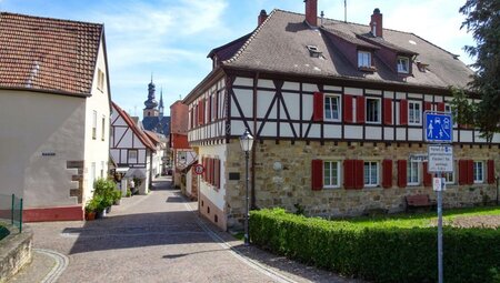 Rheinradweg III: Straßburg - Mainz