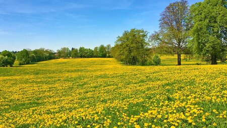 Chiemsee Sternfahrt 8 Tage - Hotel Reinhart