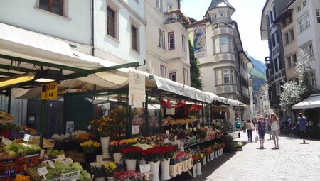 Südtiroler Wein- & Almenweg - 7 Tage