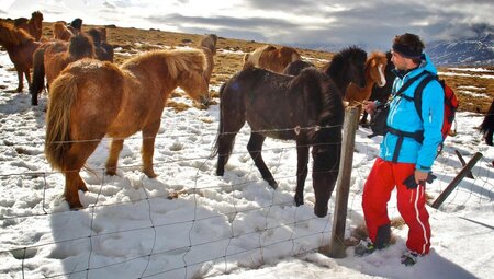 Skitouren auf Island - Berge und Fjorde des Nordens