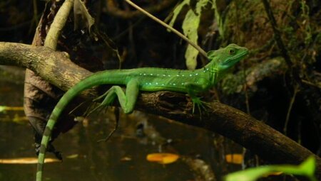 Erlebnisreise Mundo Verde