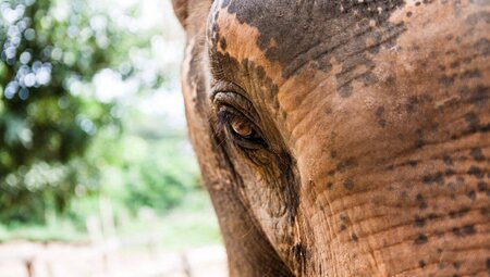 Thailands Königsstädte mit dem E-Bike