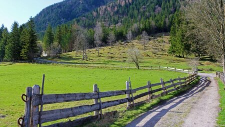 Münchner Seenrunde - Isar-Radweg und bayerischen Seen