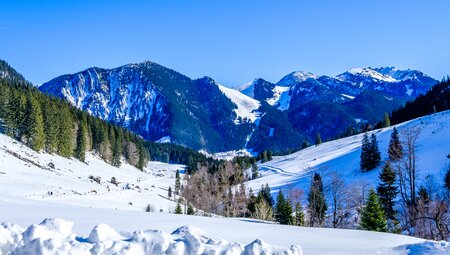 Silvester im Mangfallgebirge - Schneeschuhwandern zwischen Schliersee und Spitzingsee
