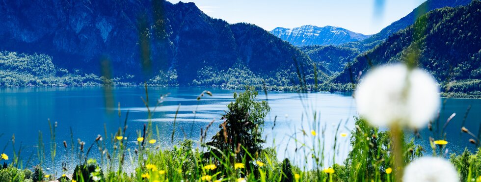 Salzkammergut Peace Ride - Radrundweg