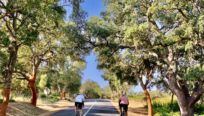 Portugal - Wildküste mit Gravel Bike erkunden