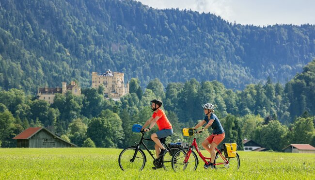 Bodensee - Königssee: Seen, Schlösser und Panoramablicke