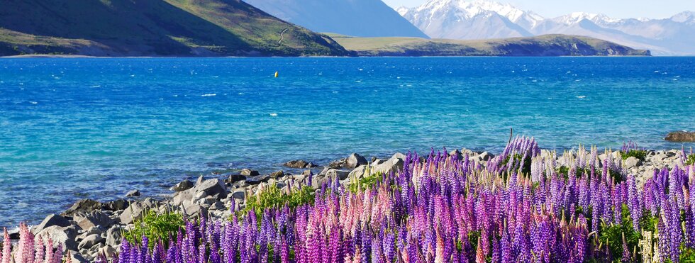 Neuseeland - Naturparadies Südinsel