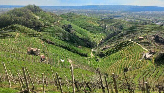 Venetien - die Prosecco-Straße