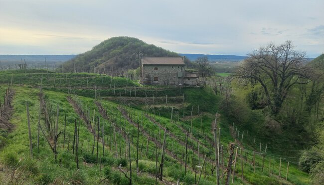 Venetien - Wanderung entlang der Prosecco-Straße