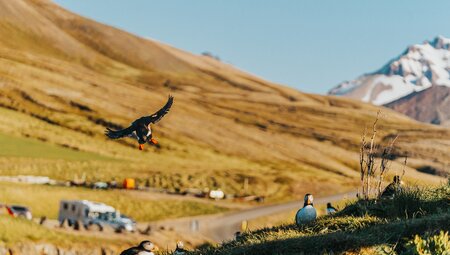 Die Magische Runde durch Island