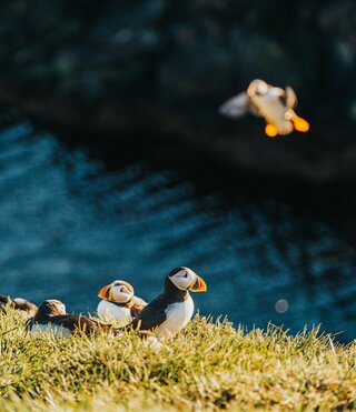 Die Mystische Runde durch Island