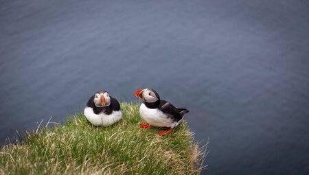 Die Große Runde durch Island