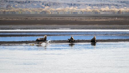 Die Gründliche Runde durch Island