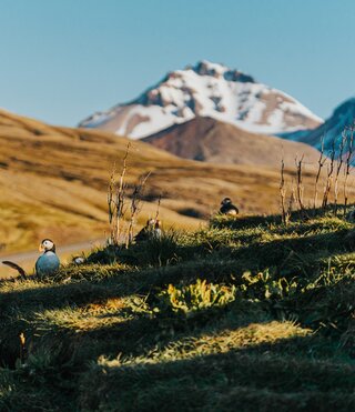 Die Kompakte Runde durch Island