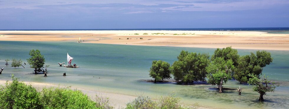 Erkundung der Biodiversität auf dem Achten Kontinent