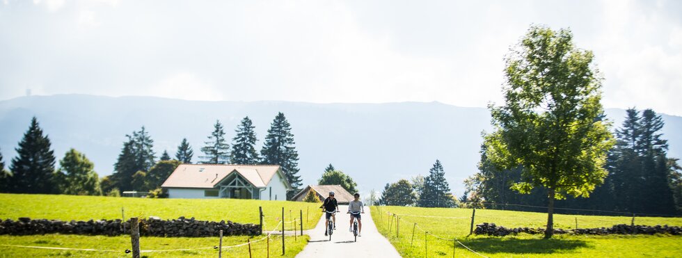  La Route Verte: Schaffhausen - Genf