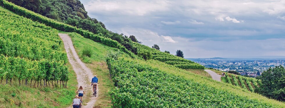 Pfälzer Weinsternfahrt: Gemütlich durch Weinreben und die Rheinebene
