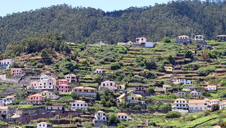 Madeiras wilde Nordküste
