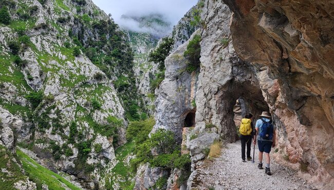 Gemütlicher Wanderurlaub im Nationalpark Picos de Europa