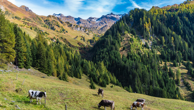 Tirols verborgene Wege entdecken