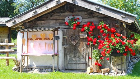 Tauern-Radweg Krimml-Passau 8 Tage