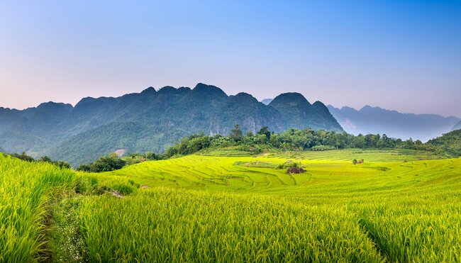 Vietnams Highlights erleben