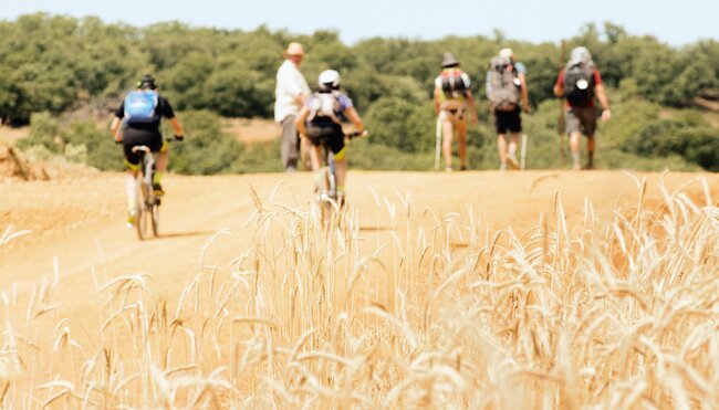 Jakobsweg individuell - Französischer Weg: León-Santiago mit dem E-Bike
