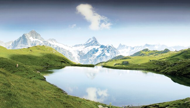 Via Alpina - Bärentrek