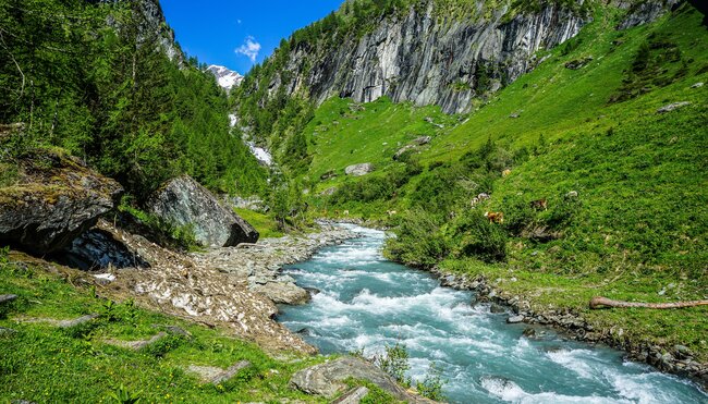 Vom Tal zum Gletscher - auf dem Iseltrail ins Herz der Alpen