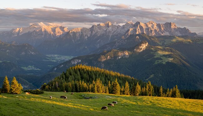 Salzburger Kalkalpen gemütlich erwandern