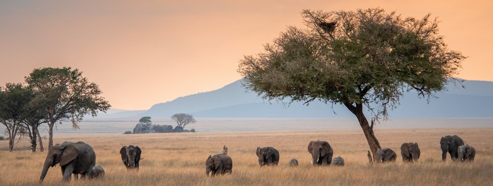 Tansania - Stammeskultur, Vulkane, Tierwelt & Strand