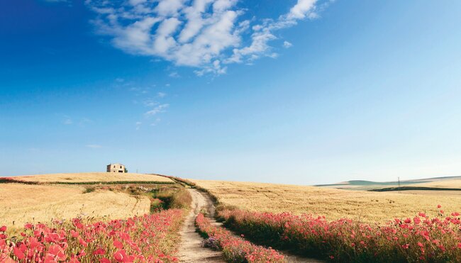 Apulien Küstenwanderung – Otranto bis Finisterrae