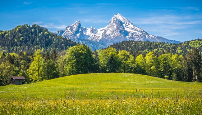 Bayerns Alpen & Seen 8 Tage