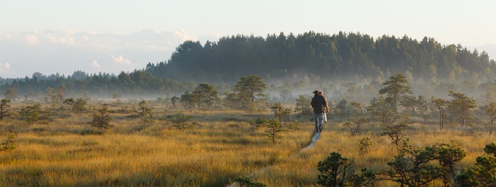 Moorlandschaft Estland