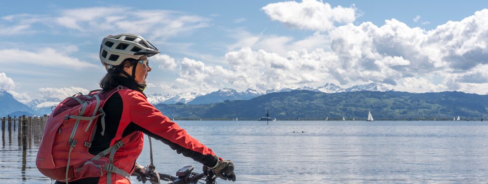 Bodensee Ausblick Fahrrad