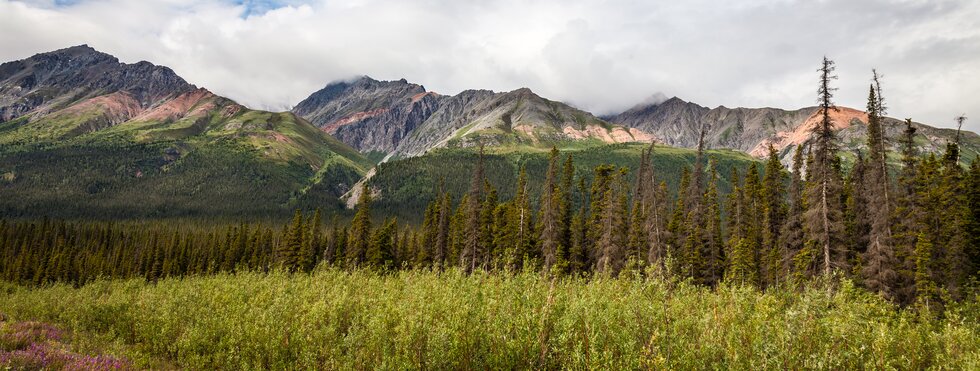 Yukon & Alaska Explorer | Hotel-Wander-Reise