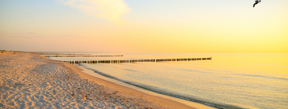 Ostsee-Radweg Warnemünde/ Rostock - Rügen 9 Tage