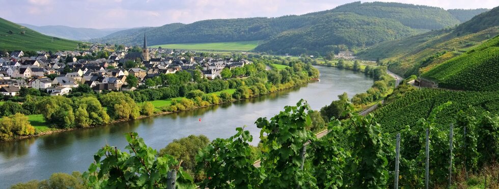 Zeltingen-Rachtig an der Mosel