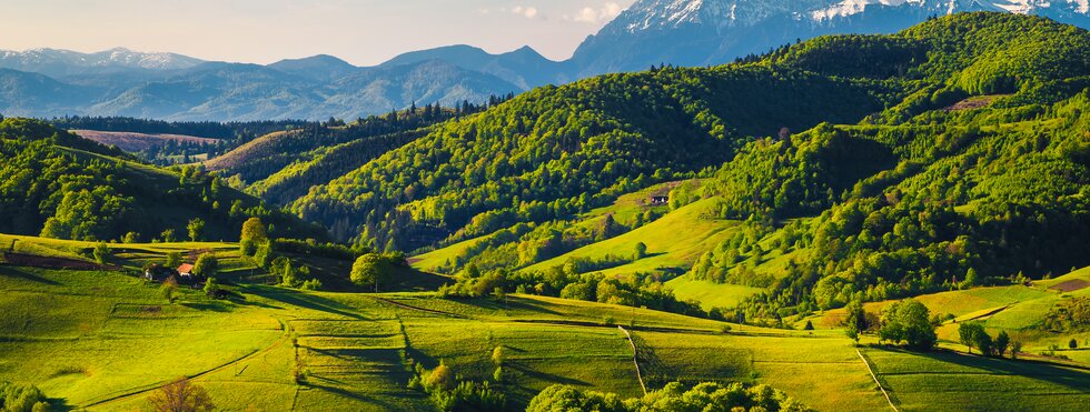 Atemberaubende Landschaft im Frühling mit grünen Feldern auf Hügeln und hohen schneebedeckten Bergen im Hintergrund, Dorf Holbav, Siebenbürgen, Rumänien, Europa