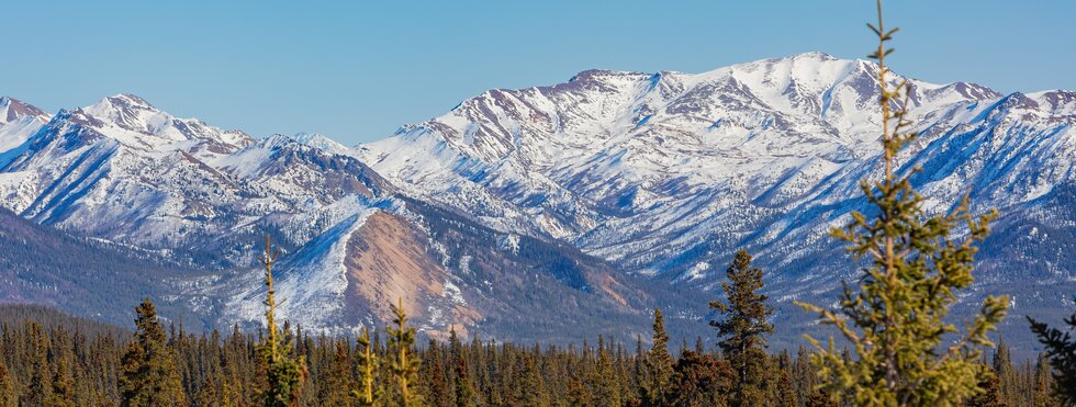 Landschaft im Denali Nationalpark