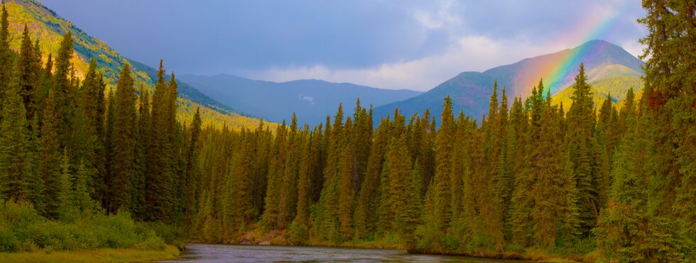 Regenbogen über dem Big Salmon River