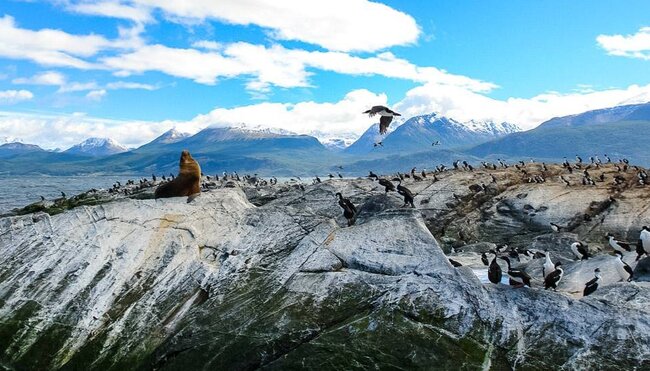 Patagonia: Chile und Argentinien