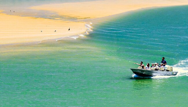 Pinotage:Südafrika(Aug-Dez)